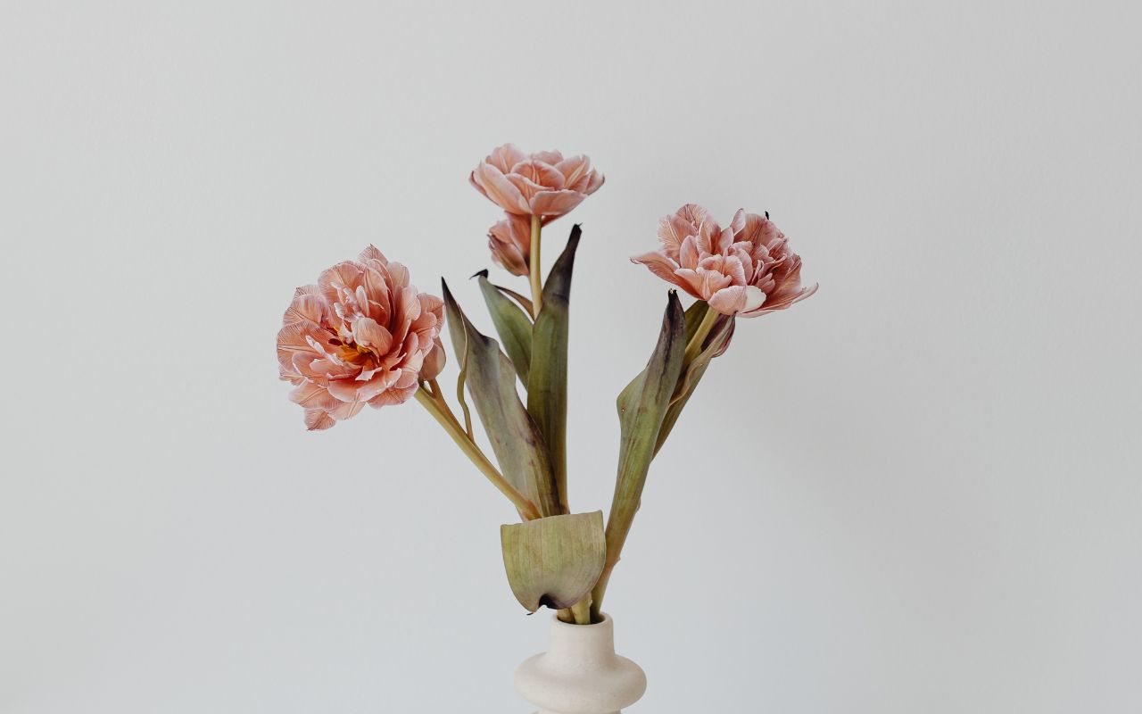 Tři ženy. Tři cesty. Jedna filozofie vědomé krásy.